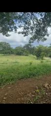 Titled 4-hectare lot in La Rita, Pococí – Iztarú for sale in Guápiles, Pococí, Limón — 40 000 000 ₡ - Photo 2 of 3