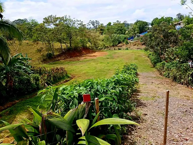 Amplio Lote en Venta en Puerto Viejo de Sarapiquí in Puerto Viejo, Sarapiquí, Heredia — ₡ 24 000 000