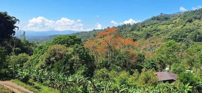 Beautiful farm for sale in Rivas de Pérez Zeledón en Rivas, Pérez Zeledón, San José — $349,000