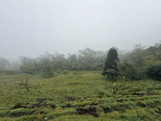 🌿 [Venta] Lote de 5.000 m² en Cascajal de Coronado in Cascajal, Vázquez de Coronado, San José — $180,000 - Photo 5 of 11