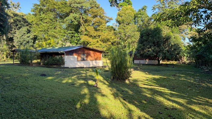 Venta de Finca con casa Horquetas de Sarapiquí, Heredia in Las Horquetas, Sarapiquí, Heredia — ₡ 63 000 000 - Photo 3 of 20