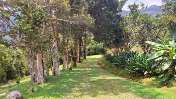 SE VENDE FINCA SOSTENIBLE CON ACCESO A RIO Y VISTAS A CHIRRIPO en Rivas, Pérez Zeledón, San José — $675,000 - Foto 3 de 35