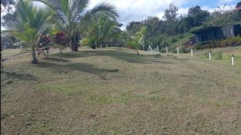 SE VENDE BELLÍSIMA PROPIEDAD EN LA TIGRA DE SAN CARLOS. in Aguas Zarcas, San Carlos, Alajuela — 90 000 000 ₡ - Photo 5 of 14