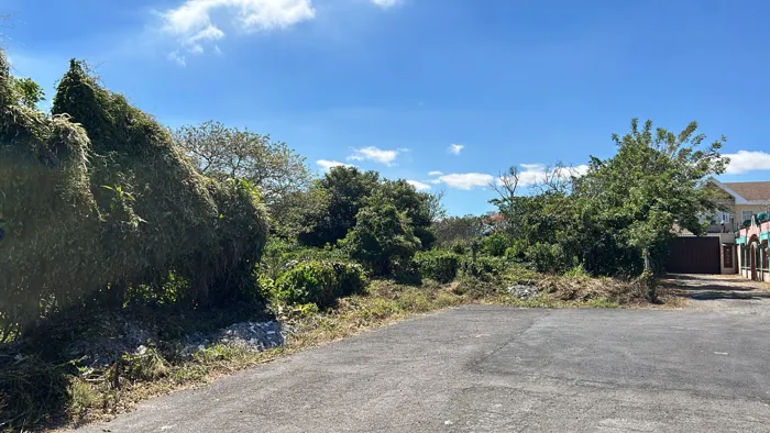 FOR SALE DEVELOPMENT LAND, HEREDIA, SANTO DOMINGO in Santo Tomás, Santo Domingo, Heredia — $10,278,000 - Photo 3 of 10