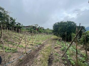 Lote amplio con uso mixto ideal para desarrollo o inversión #26-1709 GS en Santiago, Paraíso, Cartago — $97,700 - Foto 5 de 6