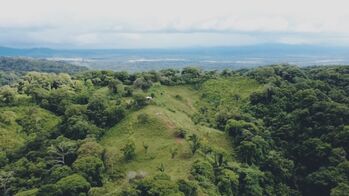 TERRENO DE 7.5 HECTÁREAS CON VISTA AL MAR Y AL RÍO EN BALSAR DE OSA en Sierpe, Osa, Puntarenas — $650,000 - Foto 4 de 17