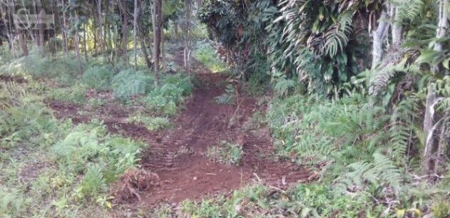 Lote en Rivas, Pérez Zeledón, San José en Rivas, Pérez Zeledón, San José — $500,000
