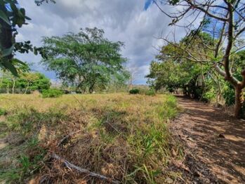 Se vende amplio lote de 1.5 hectáreas en Orotina Alajuela 25-1298 en Orotina, Alajuela — $700,000 - Foto 4 de 21
