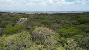 Terreno en venta en Liberia, Guanacaste en Nacascolo, Liberia, Guanacaste — 162 500 000 ₡ - Foto 2 de 14