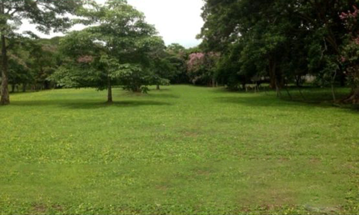 VENTA DE LOTE PARA DESARROLLO RESIDENCIAL, ALAJUELA, EL COYOL en Alajuela — ₡ 175 000 000 - Foto 2 de 3