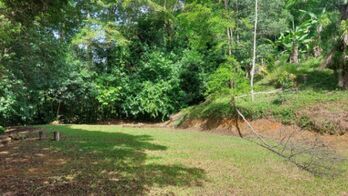 VENTA DE FINCA DE 1 HA EN PLATANILLO CON VISTAS A LA MONTAÑA Y 2 PLANTELES LISTOS in Barú, Pérez Zeledón, San José — $150,000 - Photo 4 of 6