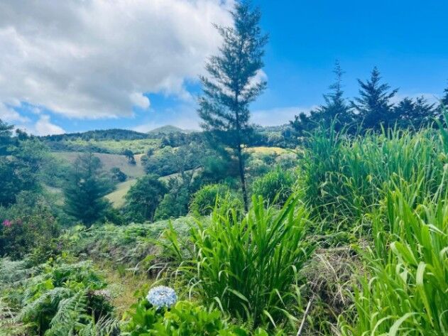 Venta de Lote en Barva, Heredia. RAH 25-1691 en San José de La Montaña, Barva, Heredia — $200,000