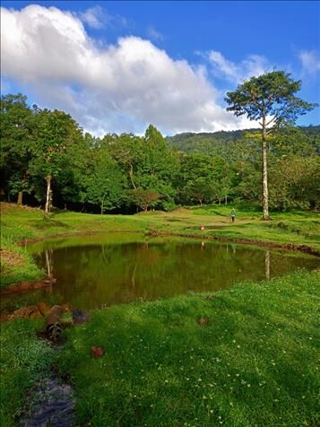 Venta de finca  en La Tigra, San Carlos, Alajuela — ₡ 8