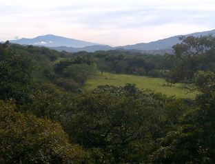 VENTA TERRENO DE DESARROLLO, SAN JOSE, PATARRA in Patarrá, Desamparados, San José — $4,100,000 - Photo 4 of 6
