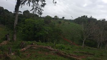 Venta de Finca Ganadera con Operación Llave en Mano en San Marcos de Cutris