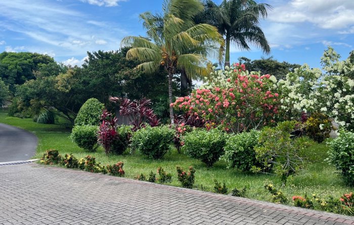 Alquiler de oficinas corporativas 390m2 La Garita en Garita, Alajuela — $5,850 - Foto 3 de 4