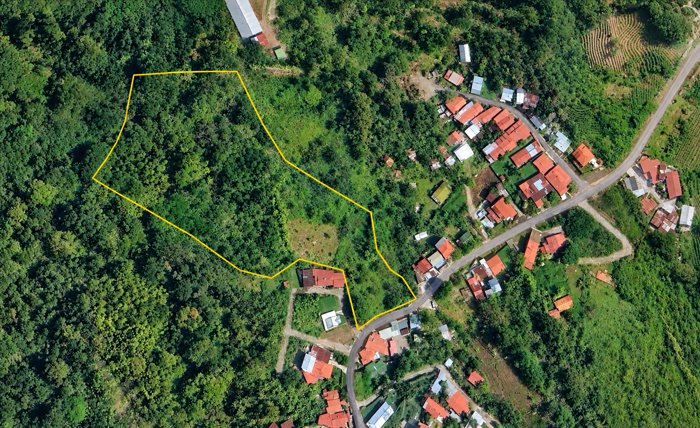 Propiedad de 20.000 m² en venta – Candelaria de Palmares in Candelaria, Palmares, Alajuela — ₡ 130 000 000 - Photo 3 of 6