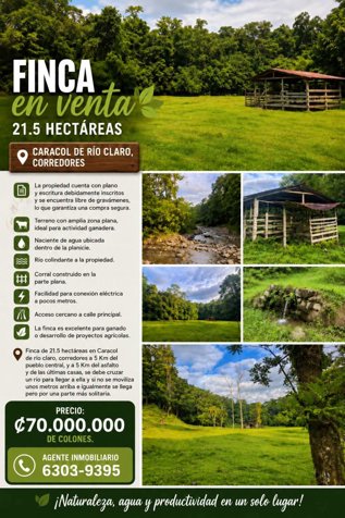 SE VENDE BELLA Y ÚTIL FINCA EN RÍO CLARO, GOLFITO. en Golfito, Puntarenas — 70 000 000 ₡ - Foto 1 de 1