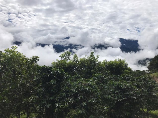 Investment land between Canan and Herradura Peréz Zeledón in Rivas, Pérez Zeledón, San José — $300,000