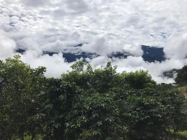 Investment land between Canan and Herradura Peréz Zeledón in Rivas, Pérez Zeledón, San José — $300,000