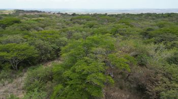 Terreno en venta en Liberia, Guanacaste en Nacascolo, Liberia, Guanacaste — 162 500 000 ₡ - Foto 5 de 14