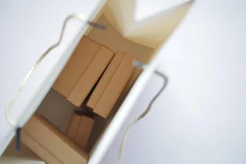 Aprovecha al máximo tu nuevo hogar con consejos de organización práctica · Hogar