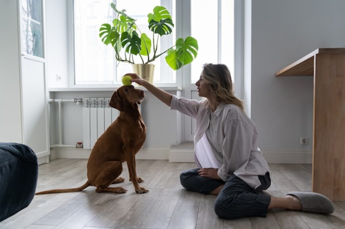 Aspects to consider for a pet-friendly and safe home in Costa Rica