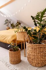 Key aspects to choose the perfect house in Costa Rica · Home
