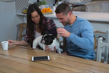 Key aspects to choose a home where your pets thrive · Lifestyle