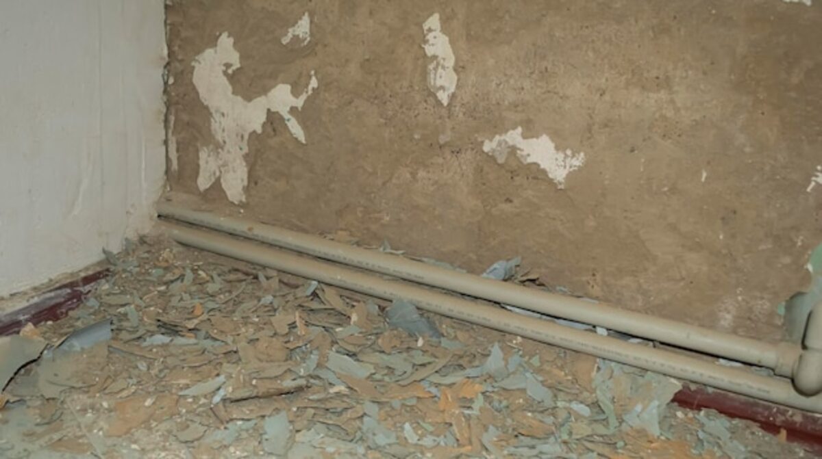 Essential aspects to maintain the structure of your new home