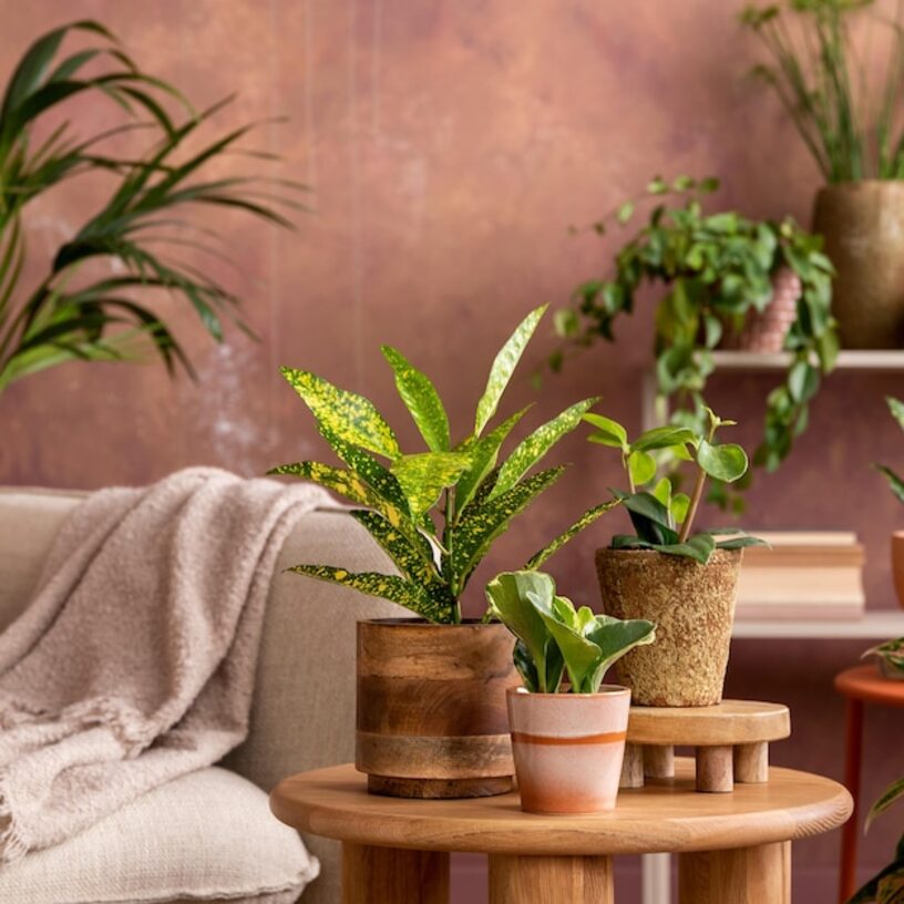 Keys to transforming your new home into a personal sanctuary