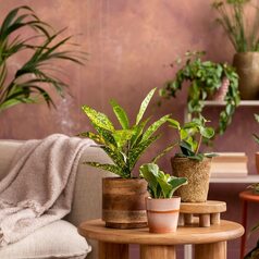 Keys to transforming your new home into a personal sanctuary · Preparation and Moving
