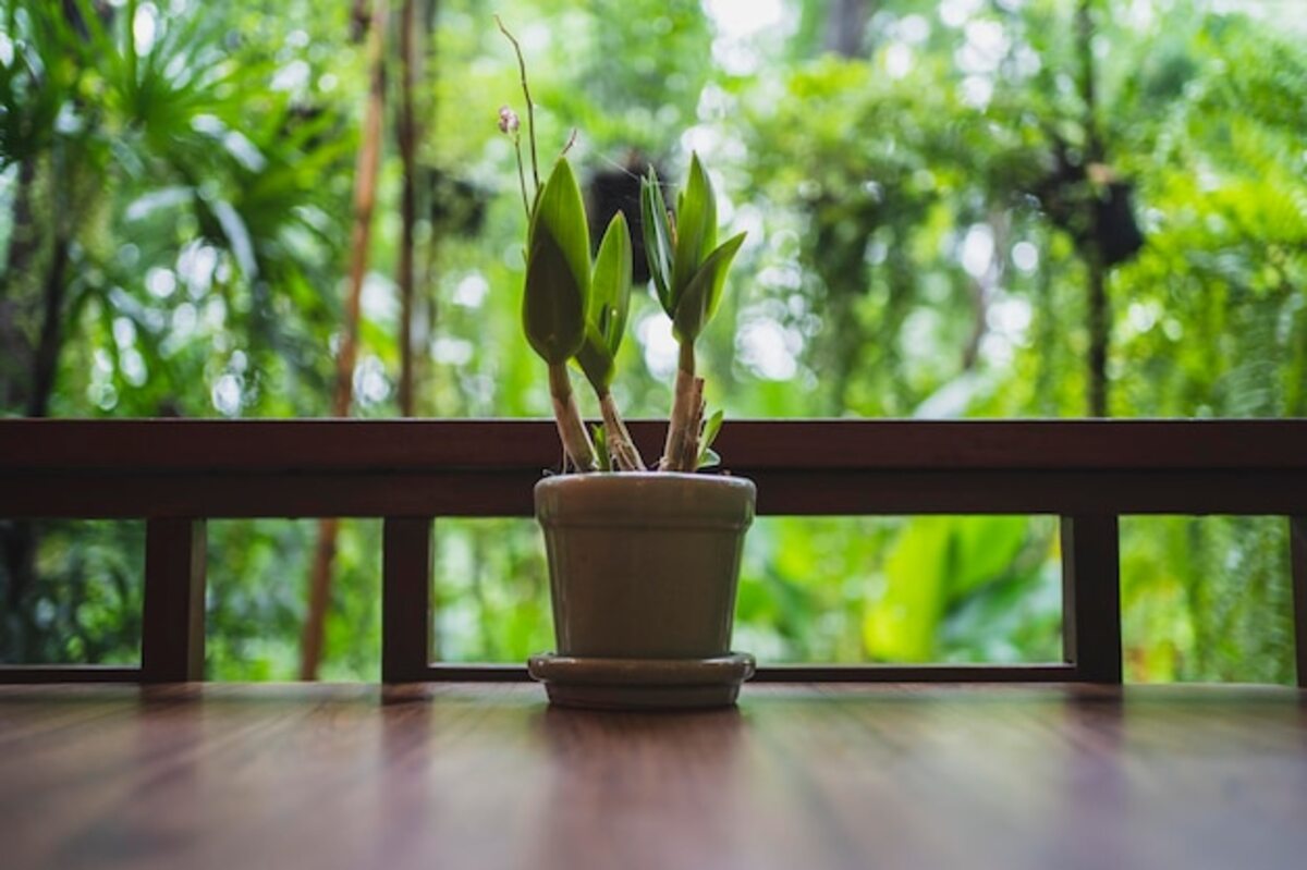 How to choose a balcony that enhances your connection with your surroundings