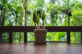 How to choose a balcony that enhances your connection with your surroundings · Home