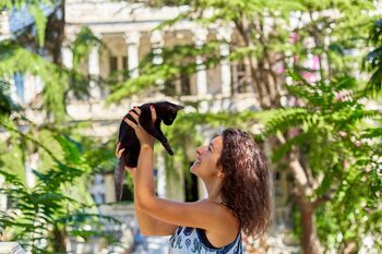 Tips for selecting the best pet-friendly location in Costa Rica · Lifestyle
