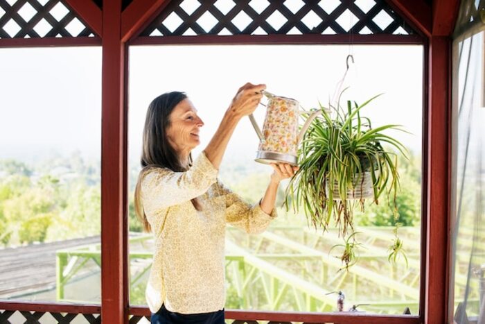 Turn your balcony into a sanctuary of natural wellness.