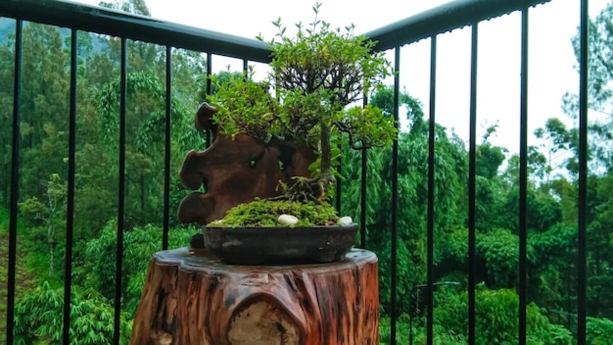 Create a balcony that enhances your connection with the natural environment.