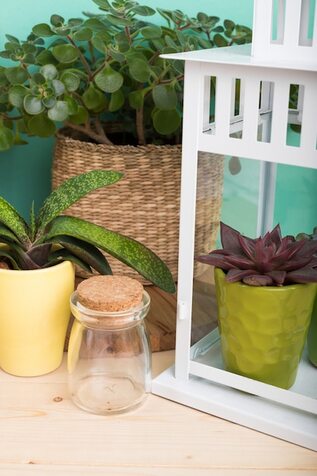 Crea un oasis personal en tu balcón con plantas y estilo