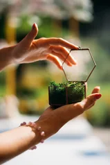 The hidden value of nature in real estate · Location and Value