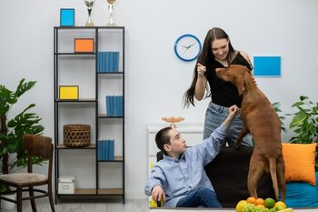 Find the ideal home that fosters a safe environment for your pets. · Lifestyle