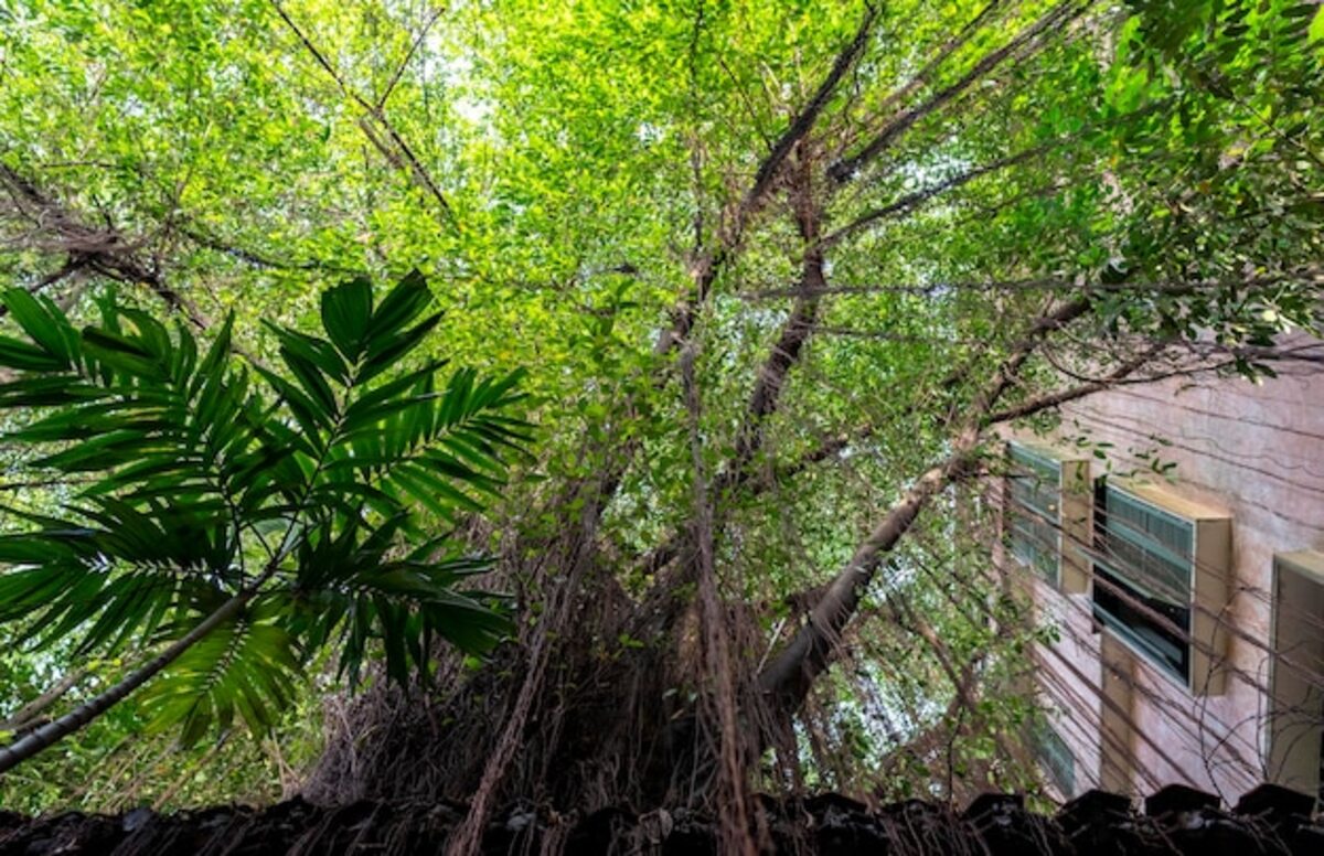 Find the perfect property: guide for responsible buyers in Costa Rica
