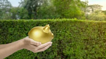 Errores que Pueden Erosionar tu Inversión en La Fortuna · Proceso de Compra