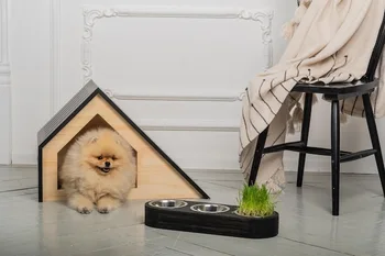 Espacios creativos que adaptan tu hogar a tus mascotas · Estilo de Vida