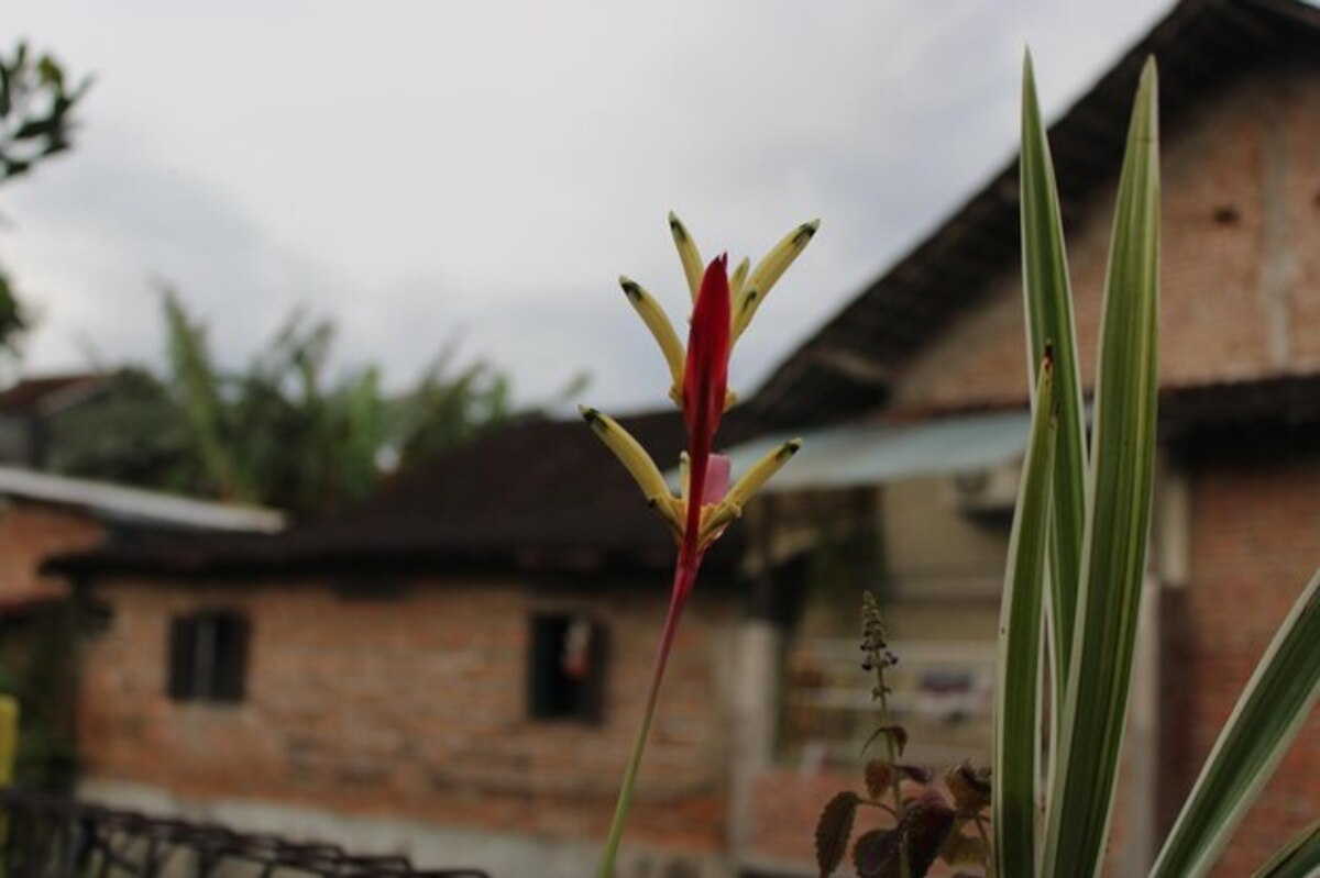 Essential guide to choosing the ideal location for your new home in Costa Rica