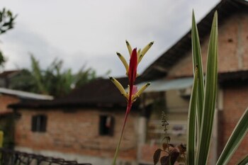 Essential guide to choosing the ideal location for your new home in Costa Rica · Home