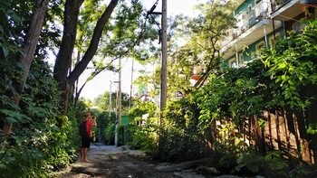 Guide to identifying the ideal neighborhood that aligns with your dreams · Home