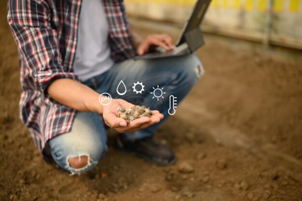 The attraction of the rural environment in real estate valuation