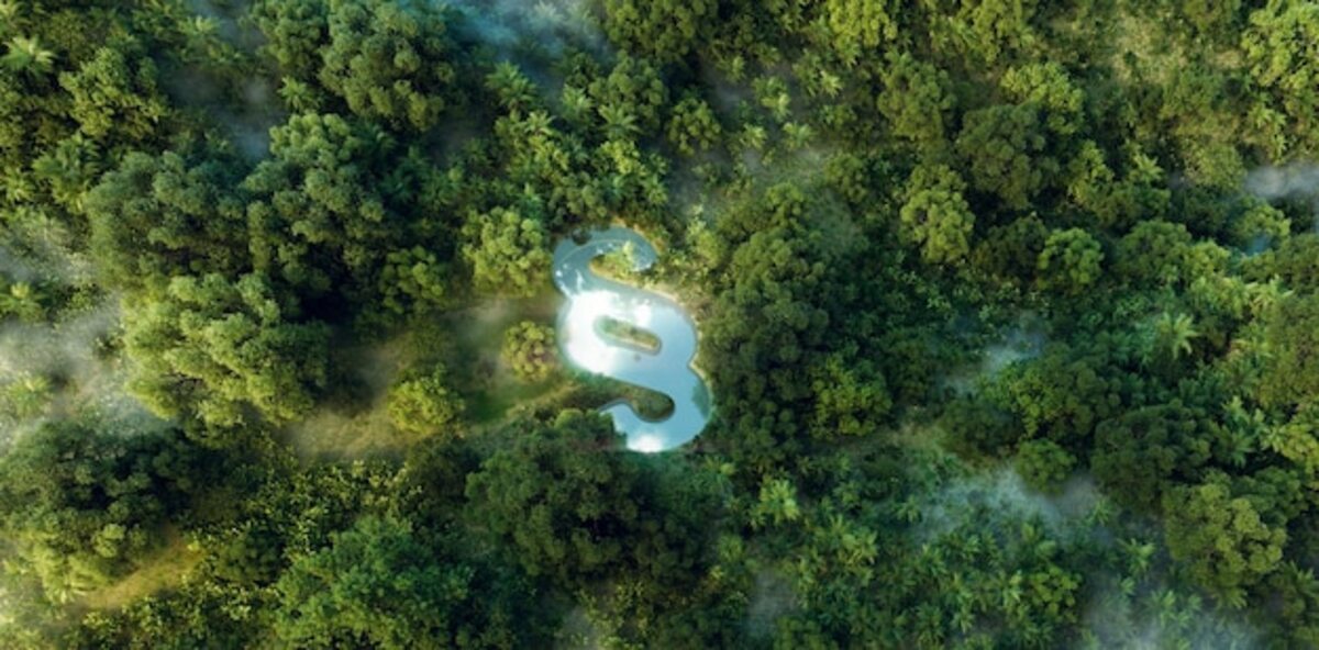 The influence of biodiversity on the value of your property
