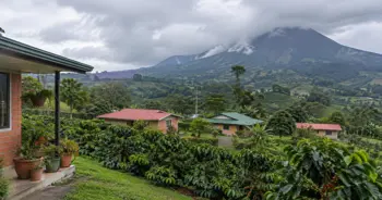 Qué cantón de Alajuela deja más renta por una casa · Ubicación y Plusvalía