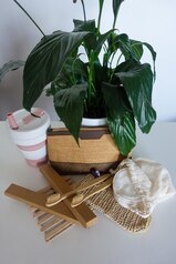 Renew your lease with sustainable and accessible solutions. · Rental Guides